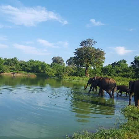 Kuma Safari Lodge ウダワラウェ エクステリア 写真
